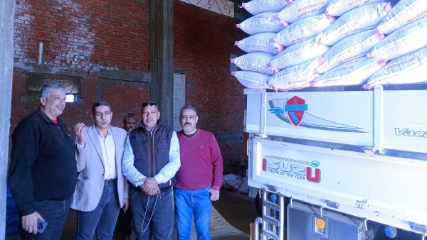 تقاوي الأرز