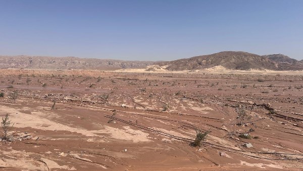 سانت كاترين 