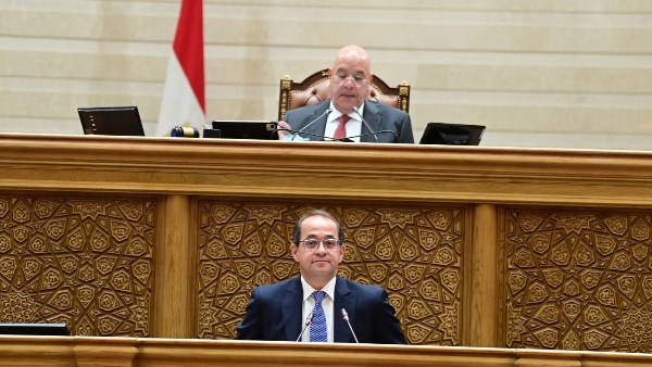 وزير المالية