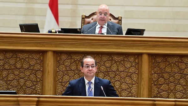 وزير المالية