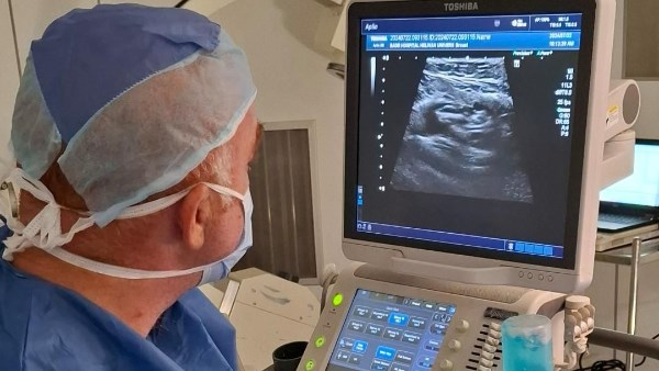 جانب من الفعاليات 