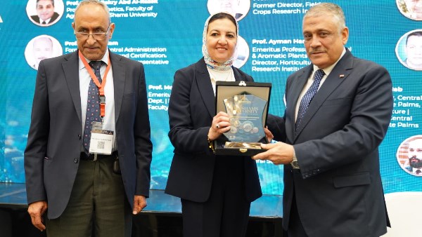 جانب من الفعاليات  