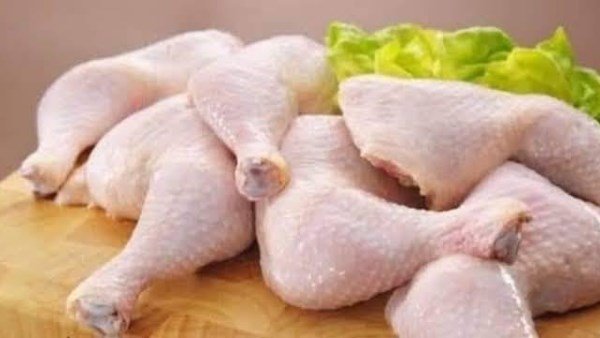 أسعار الدواجن اليوم 