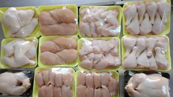 أسعار الفراخ اليوم 