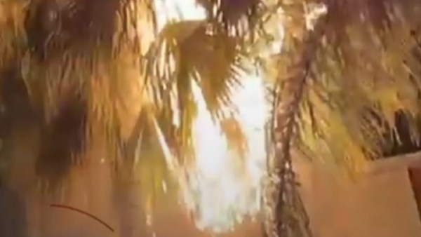 جانب من الحرائق 