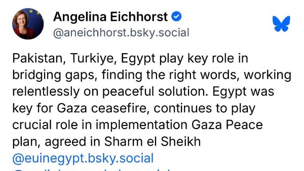 تغريدة سفيرة الإتحاد الأوروبي في القاهرة 