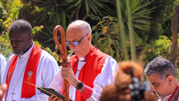 الدكتور سامي فوزي 