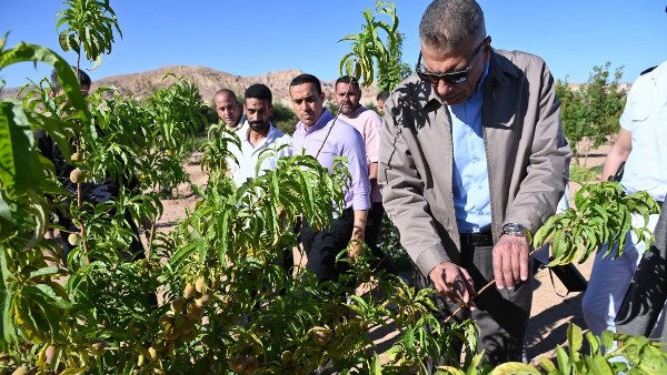 المحافظ خلال زيارته التجمعات التنموية بوادي السعال 