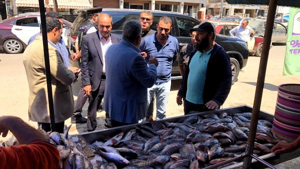 جوله لمحافظ الدقهلية 