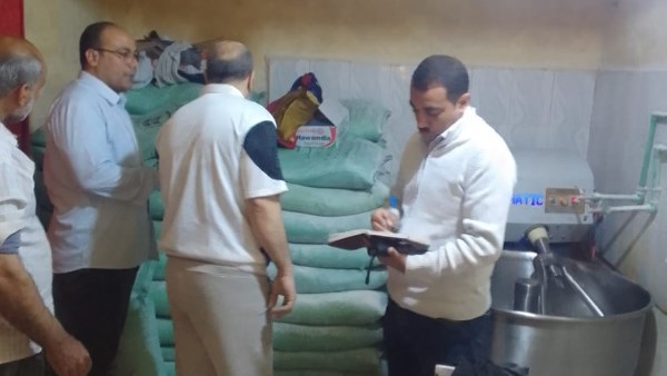 حملات تمونية 