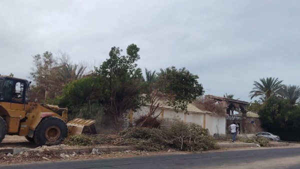 صورة موضوعية