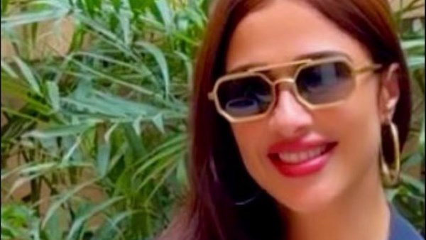 ياسمين عبد العزيز