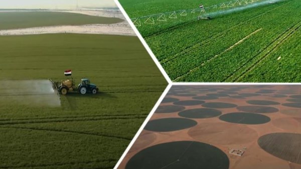 مشروع الدلتا الجديدة