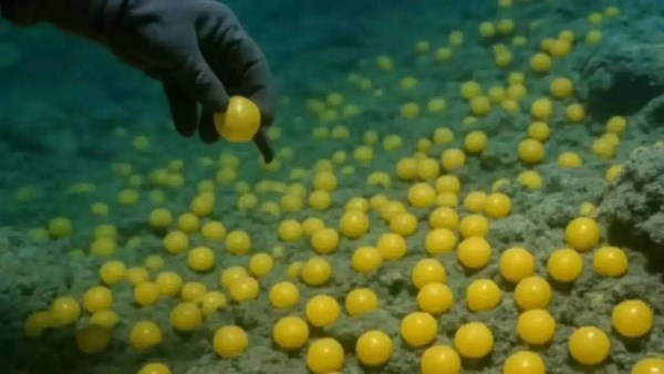 اكتشاف علمي تحت الماء 