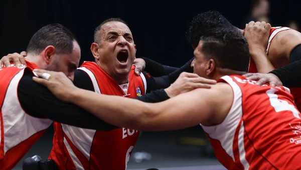 سلة الكراسي المتحركة 