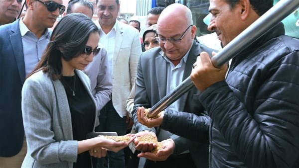 محافظ البحيرة