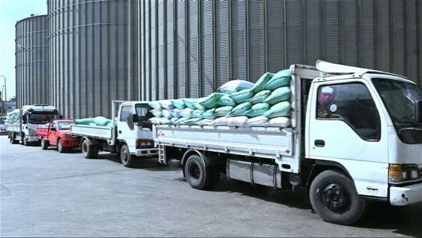 محافظ البحيرة