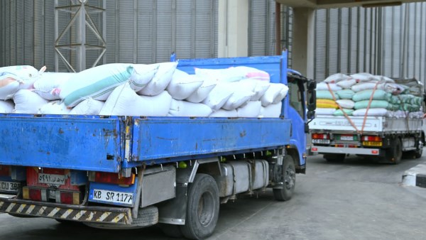 محافظ البحيرة