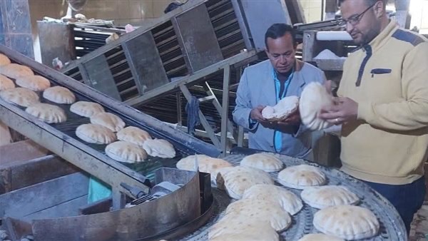 محافظ البحيرة