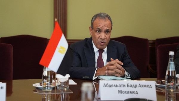 وزير الخارجية بدر عبد العاطي