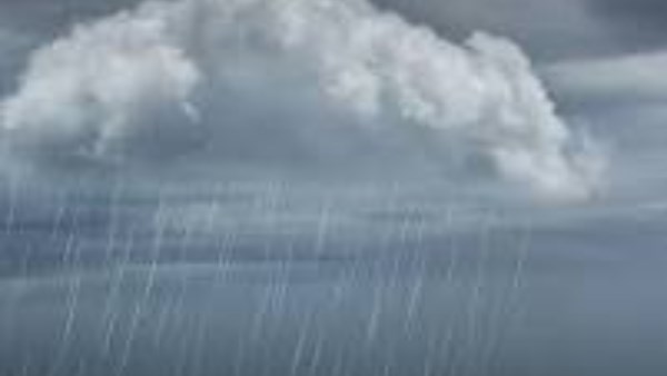 أمطار على الإسكندرية مع استمرار حركة الملاحة بالميناء