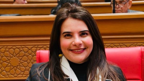 وكيل خارجية النواب: تحركات مصر الدبلوماسية كانت حاسمة في احتواء التصعيد بالمنطقة