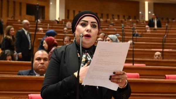 النائبة جيهان شاهين 