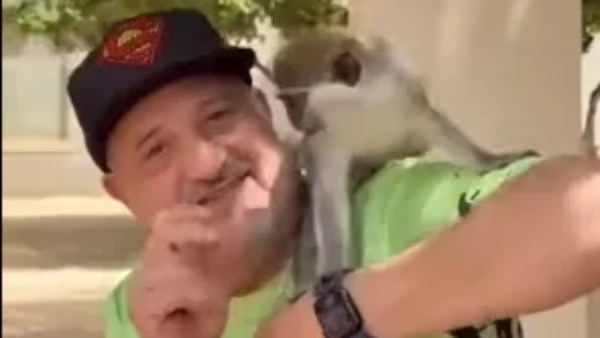 خالد الصاوي 