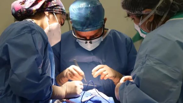 نقيب التمريض: الحفاظ على حياة المواطن بالنسبة للتمريض المصري قضية أمن قومي