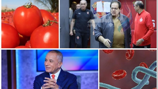 اخبار التوك شو
