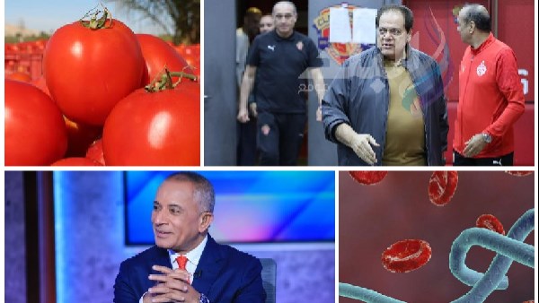 أحمد موسى : أبو العينين مش هيجامل الأهلي أو الزمالك أو بيراميدز .. الصحة : مصر لا توجد بها أي حالات مصابة بفيروس إيبولا | أخبار التوك شو