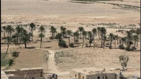 صحراء العراق 