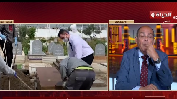 محمد مصطفى شردي