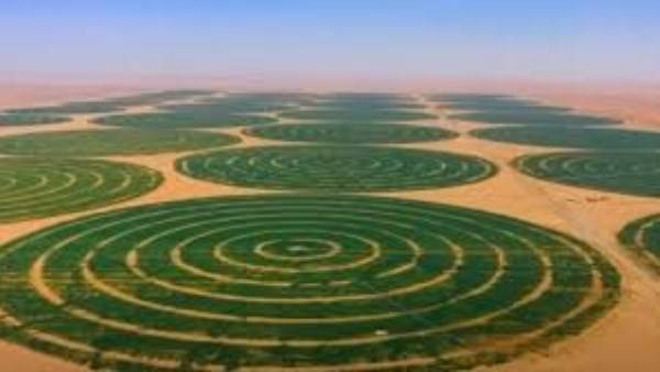 مشروع الدلتا الجديدة 