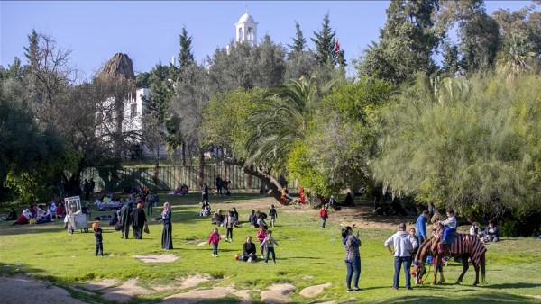  حديقة البلفدير التونسية