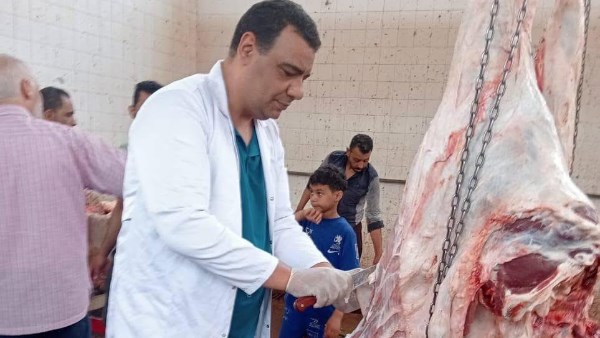 المجازر الحكومية