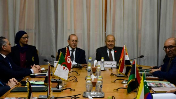 أبو الغيط يحذر من تراجع الدعم العربي لصندوق المعونة