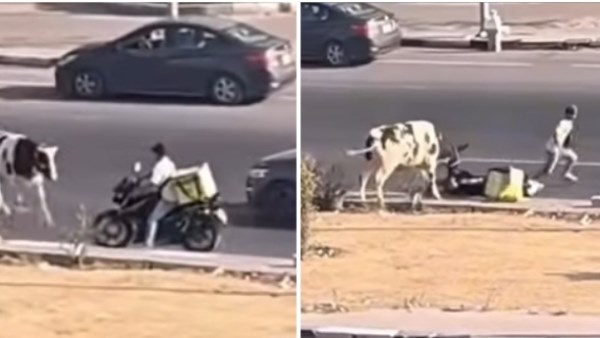 عامل الدليفري والعجل