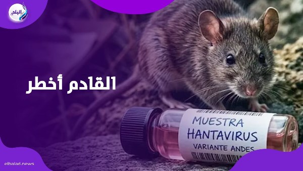 توقعات ليلى عبد اللطيف