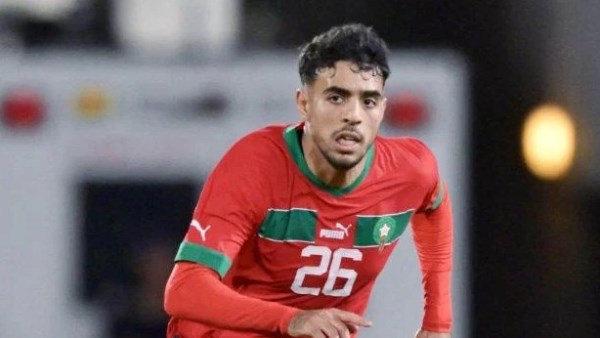 شادي رياض