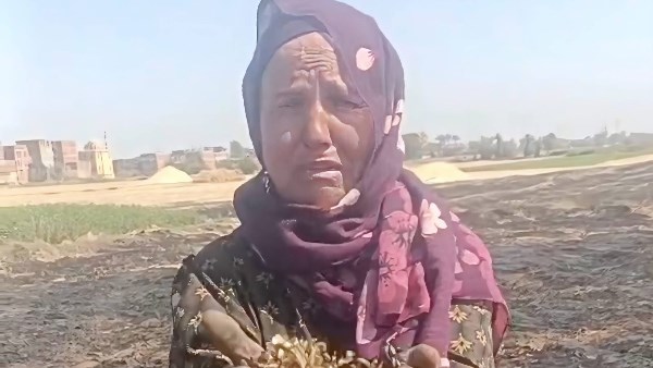 حريق يضرب حقول القمح بالنعامنة.. خسائر كبيرة ووجود شبهة جنائية| شهود عيان تروي التفاصيل 