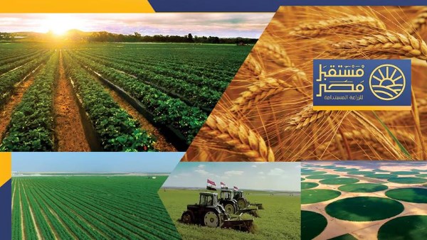 الدلتا الجديدة.. مشروع قومي عملاق يعيد رسم خريطة الزراعة