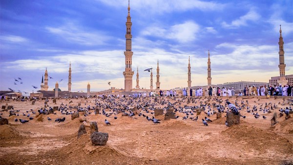 ما حكم زيارة أهل البقيع بعد الانتهاء من أداء مناسك الحج؟ ما حكم زيارة أهل البقيع بعد الانتهاء من أداء مناسك الحج؟