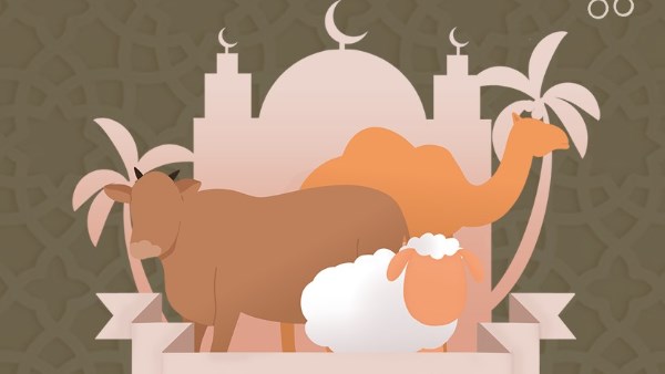 ما يسن للمضحى فعله عند الأضحية؟.. الإفتاء توضح