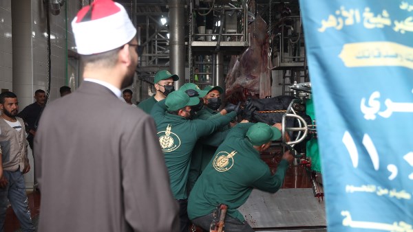 «بيت الزكاة والصدقات» يبدأ نحر الأضاحي وتوزيع لحوم الصكوك