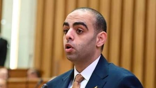 النائب حسن عمر حسنين