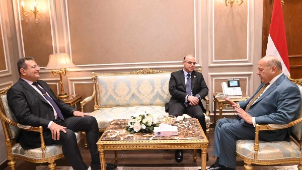  محمد الوحش وكيل مجلس النواب