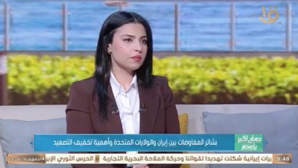  الدكتورة إيريني سعيد، الأكاديمية والمحللة السياسية