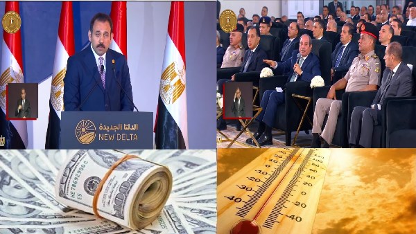 صورة الملف