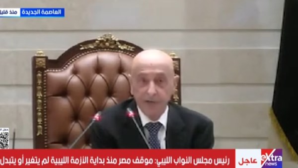 المستشار عقيلة صالح